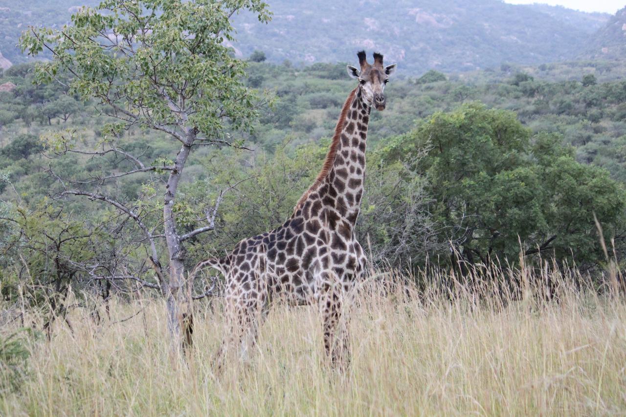 Aha Bongani Mountain Lodge Luphisi Dış mekan fotoğraf