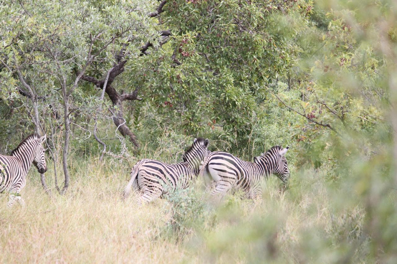 Aha Bongani Mountain Lodge Luphisi Dış mekan fotoğraf