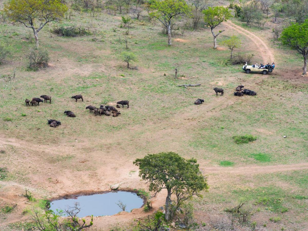 Aha Bongani Mountain Lodge Luphisi Dış mekan fotoğraf