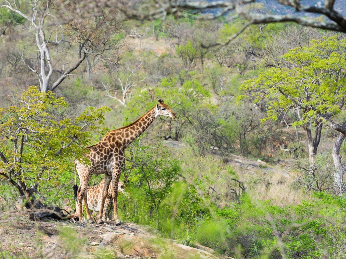 Aha Bongani Mountain Lodge Luphisi Dış mekan fotoğraf