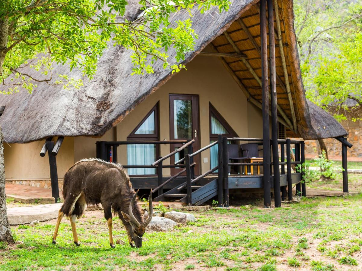 Aha Bongani Mountain Lodge Luphisi Dış mekan fotoğraf